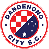 ダンデノン・シティSC Club logo